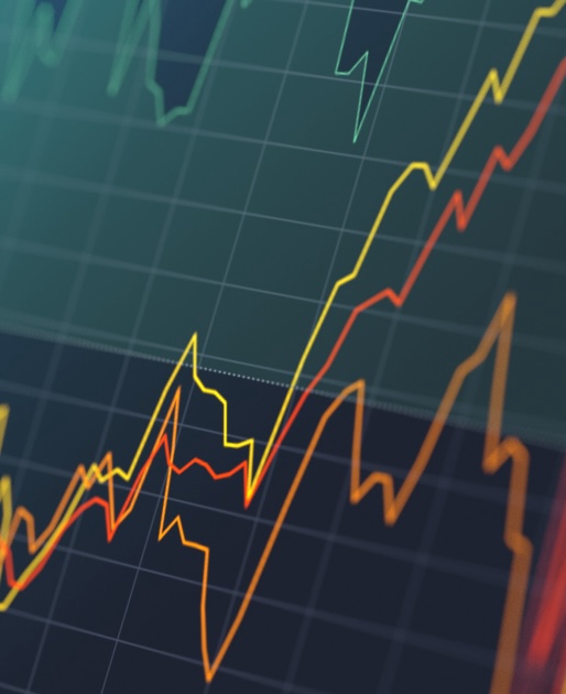 SERVIZIO1: Assistenza fiscale e societaria ordinaria e straordinaria